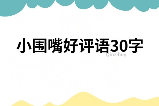 小圍嘴好評(píng)語(yǔ)30字