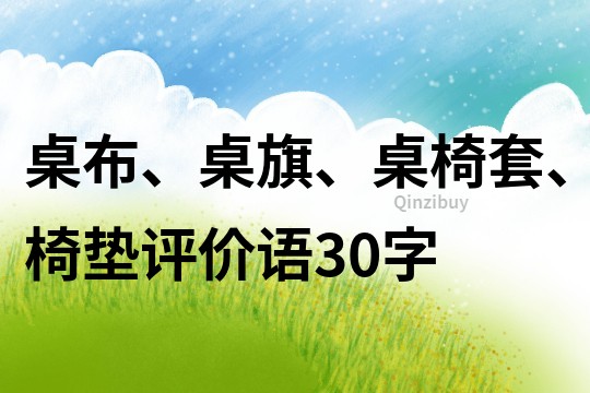 桌布、桌旗、桌椅套、椅墊評(píng)價(jià)語30字