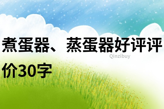 煮蛋器、蒸蛋器好評(píng)評(píng)價(jià)30字