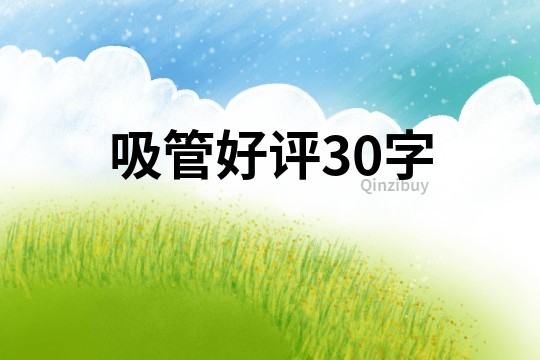 吸管好評30字