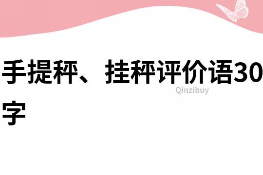手提秤、掛秤評價語30字
