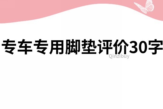 專車專用腳墊評(píng)價(jià)30字