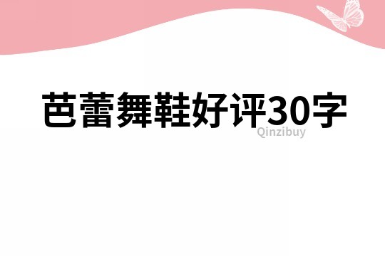 芭蕾舞鞋好評30字