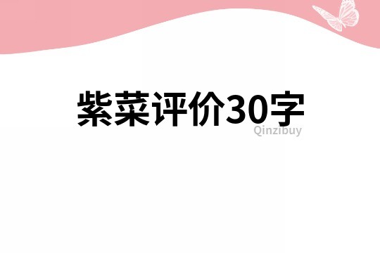 紫菜評價30字