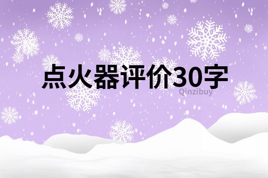 點(diǎn)火器評(píng)價(jià)30字