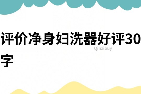 評價凈身婦洗器好評30字