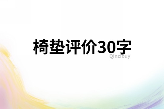椅墊評價30字