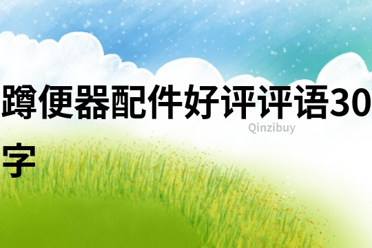 蹲便器配件好評(píng)評(píng)語30字