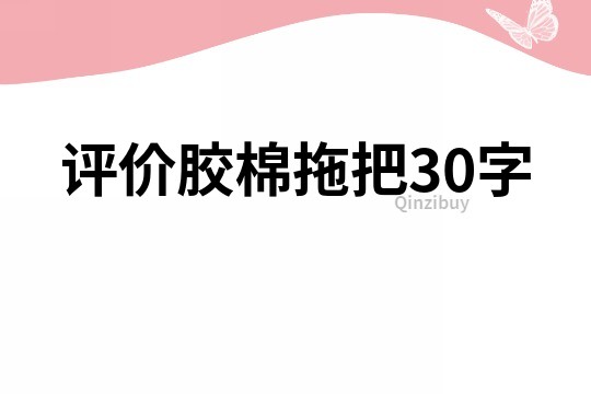 評(píng)價(jià)膠棉拖把30字