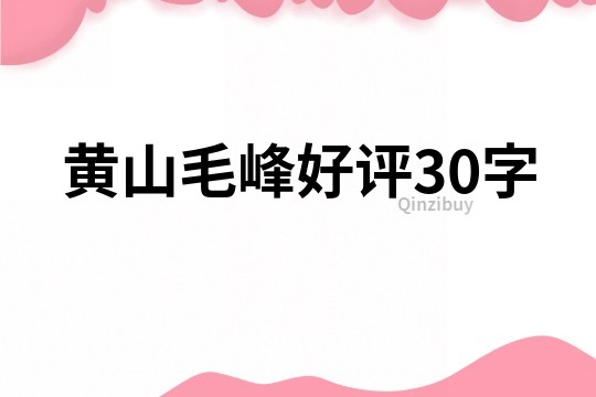 黃山毛峰好評30字