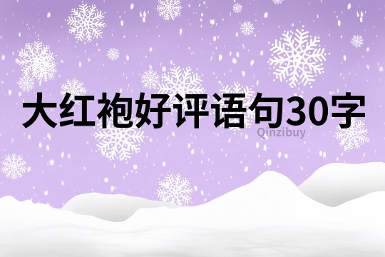 大紅袍好評語句30字