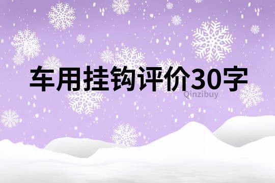 車用掛鉤評價30字