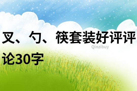 叉、勺、筷套裝好評(píng)評(píng)論30字