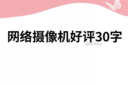 網(wǎng)絡攝像機好評30字