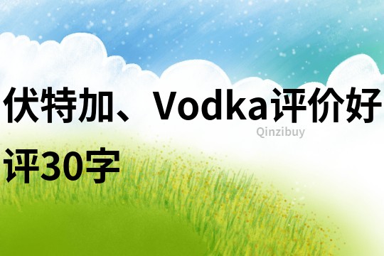 伏特加、Vodka評價好評30字