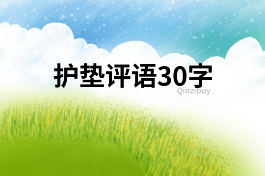 護墊評語30字