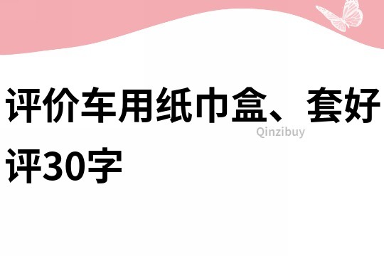 評價(jià)車用紙巾盒、套好評30字