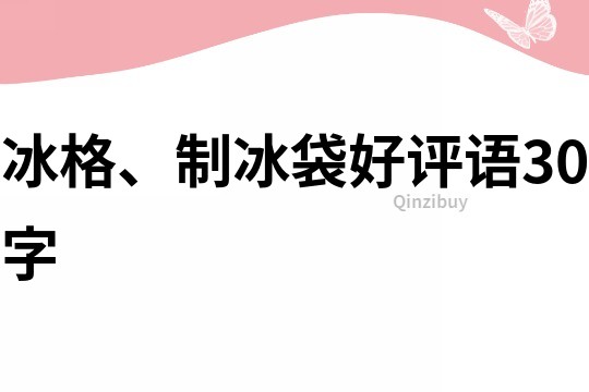 冰格、制冰袋好評語30字