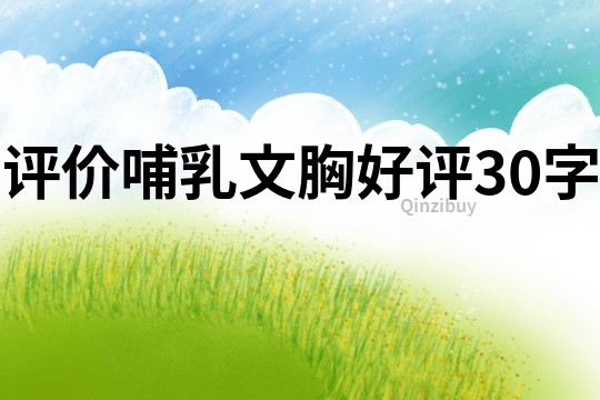 評價(jià)哺乳文胸好評30字