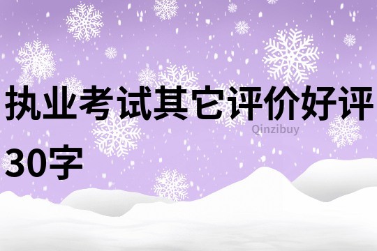 執業考試其它評價好評30字