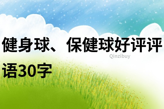 健身球、保健球好評評語30字