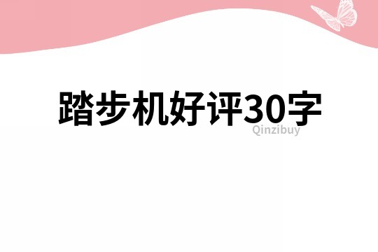 踏步機好評30字