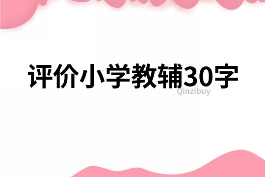 評價小學教輔30字