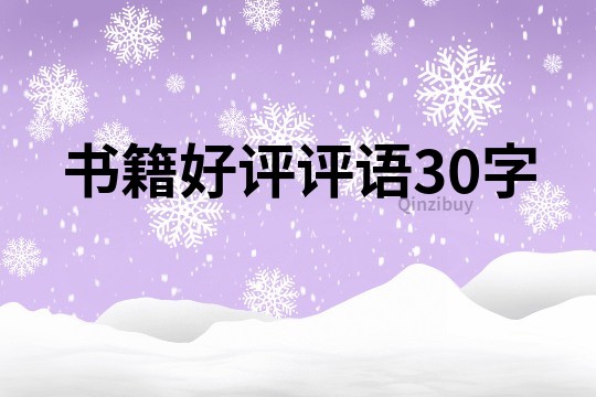 書籍好評評語30字