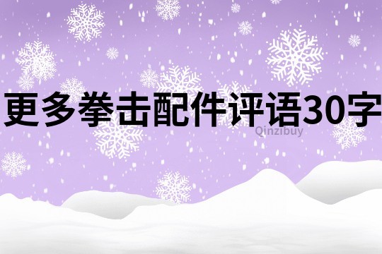 更多拳擊配件評語30字