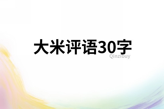 大米評語30字