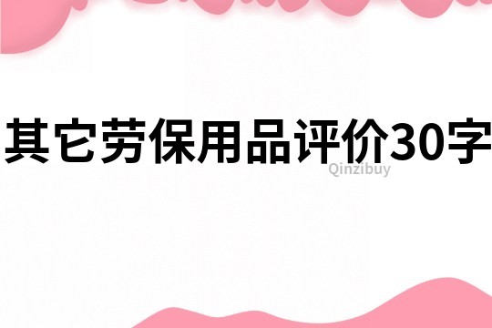 其它勞保用品評價30字