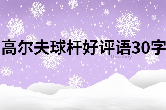 高爾夫球桿好評語30字