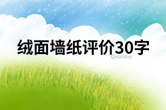 絨面墻紙?jiān)u價(jià)30字