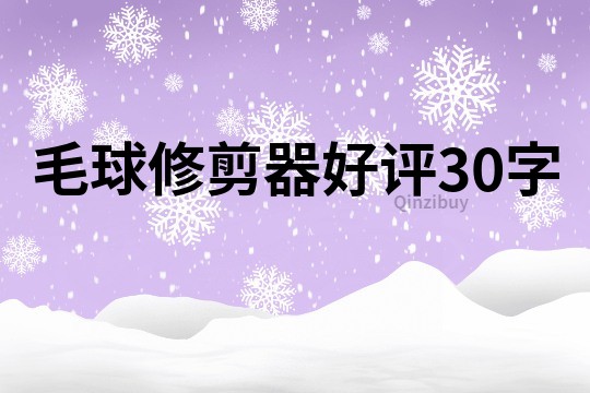 毛球修剪器好評30字