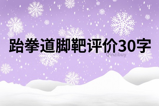 跆拳道腳靶評價30字