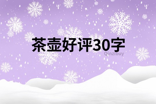 茶壺好評30字