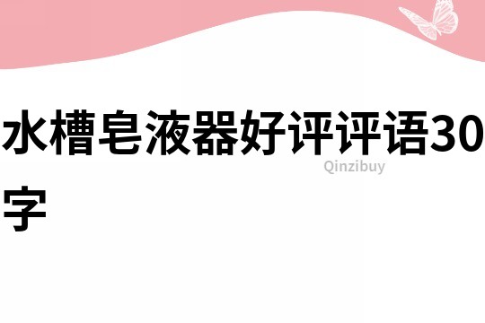 水槽皂液器好評評語30字