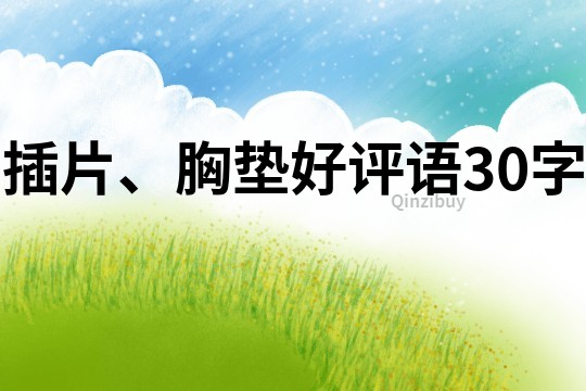 插片、胸墊好評(píng)語(yǔ)30字