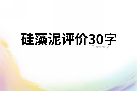硅藻泥評價30字