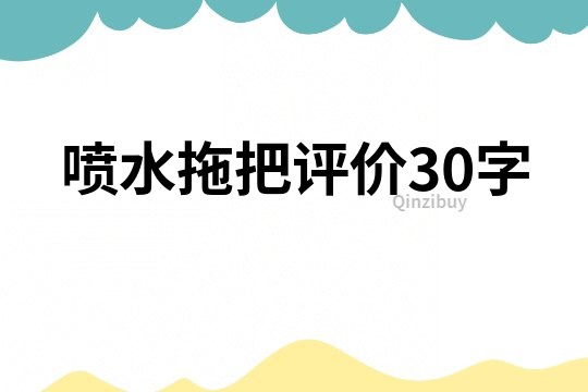 噴水拖把評價30字