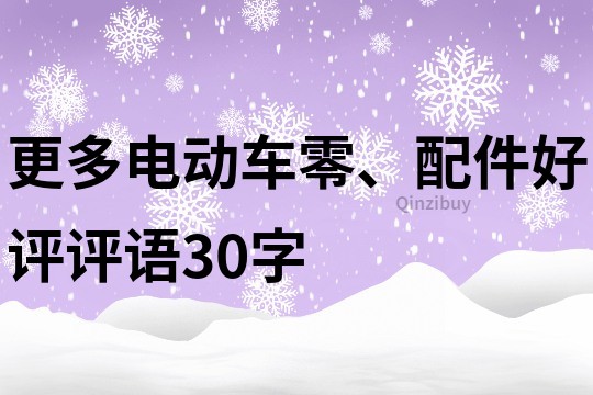更多電動車零、配件好評評語30字