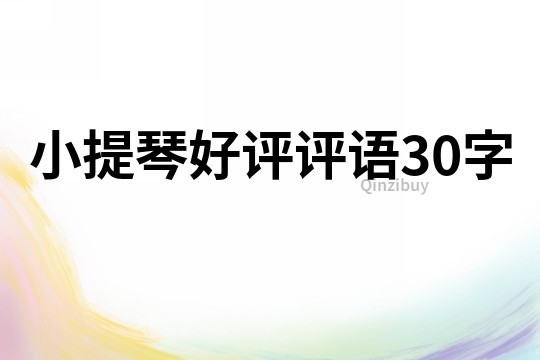 小提琴好評評語30字