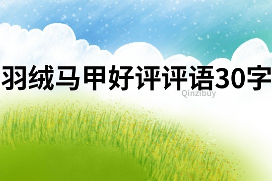 羽絨馬甲好評評語30字