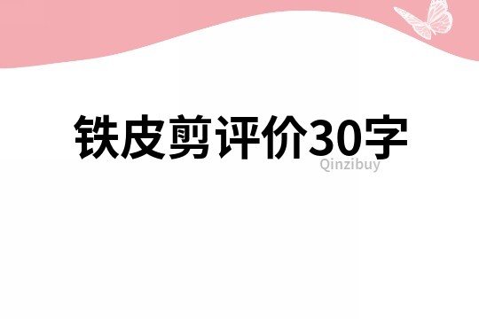 鐵皮剪評(píng)價(jià)30字