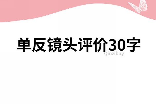 單反鏡頭評價30字