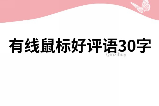 有線鼠標好評語30字