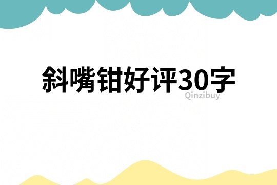 斜嘴鉗好評30字