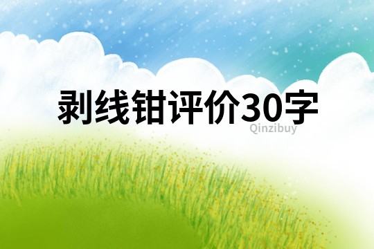 剝線鉗評價30字