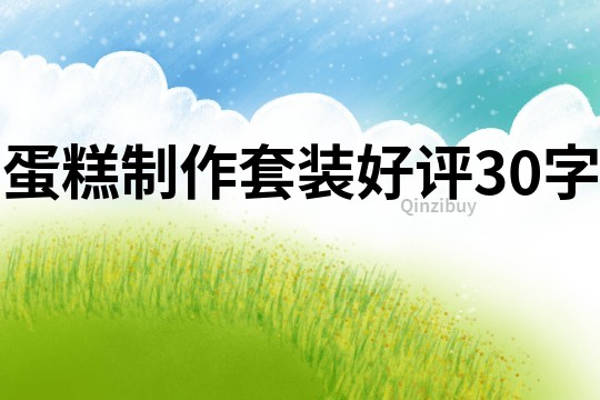 蛋糕制作套裝好評30字