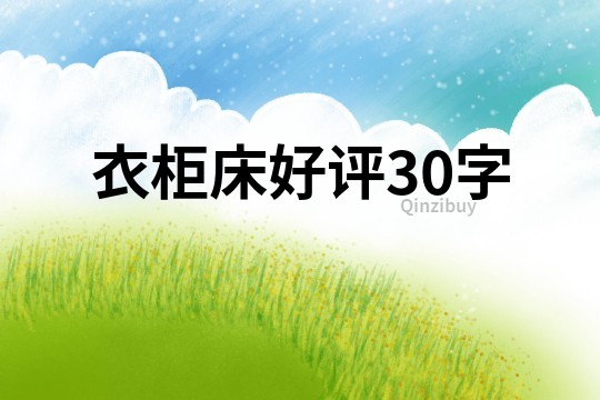 衣柜床好評(píng)30字